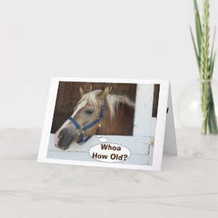 TALKING HORSE SAY WHOA "HOW OLD" BIRTHDAY CARD
