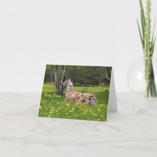 Talking Llama Cards