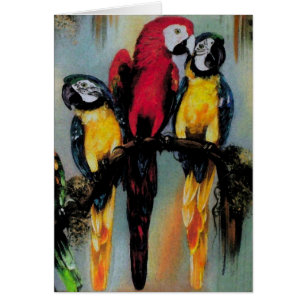 Talking Parrots ~ Card