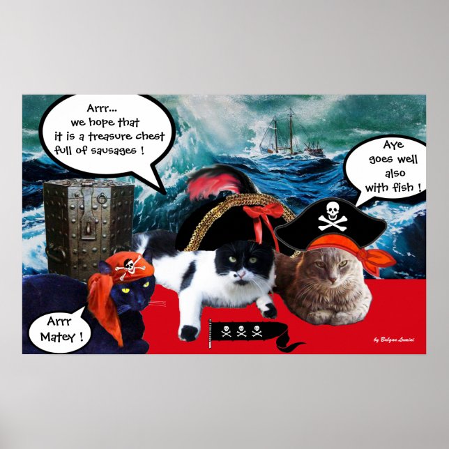 TALKING PIRATE CATS AND SHIP IN THE SEA STORM POSTER (Front)