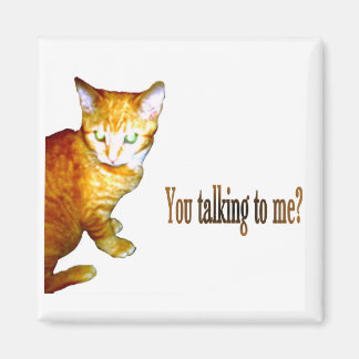 Talking To Me - Magnet