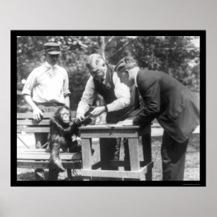 Talking to Orangutan 1920 Poster