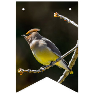 tall2 bunting