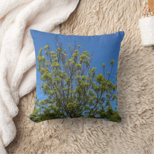 Tall Ash Tree In The Beautiful Blue Sky Photo Cushion