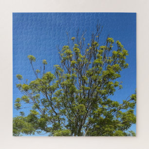 Tall Ash Tree In The Beautiful Blue Sky Photo Jigsaw Puzzle