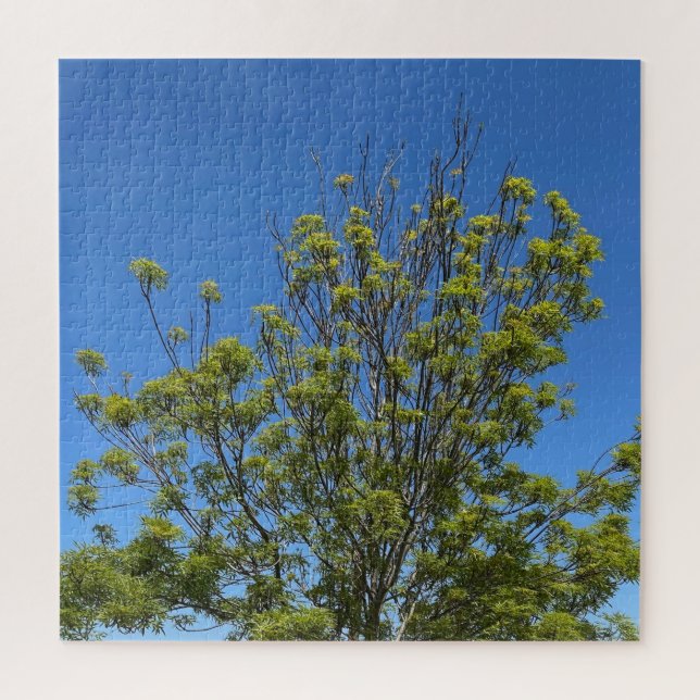 Tall Ash Tree In The Beautiful Blue Sky Photo Jigsaw Puzzle (Vertical)