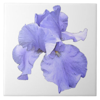 Tall Bearded Purple Iris Tile