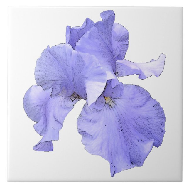 Tall Bearded Purple Iris Tile (Front)