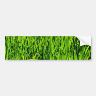 Tall Blades of Grass Bumper Sticker
