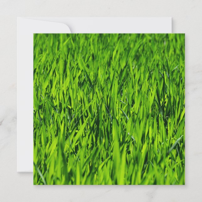 Tall Blades of Grass Card (Front)