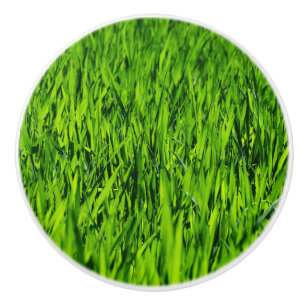 Tall Blades of Grass Ceramic Knob