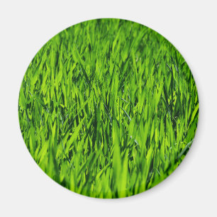 Tall Blades of Grass Magnet