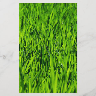 Tall Blades of Grass Stationery