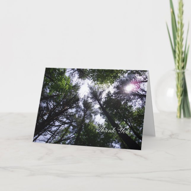 Tall forest trees and sunshine thank you card (Front)