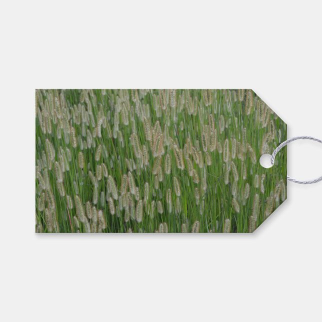 Tall Green Grasses Seeds Gift Tags (Front (Horizontal))