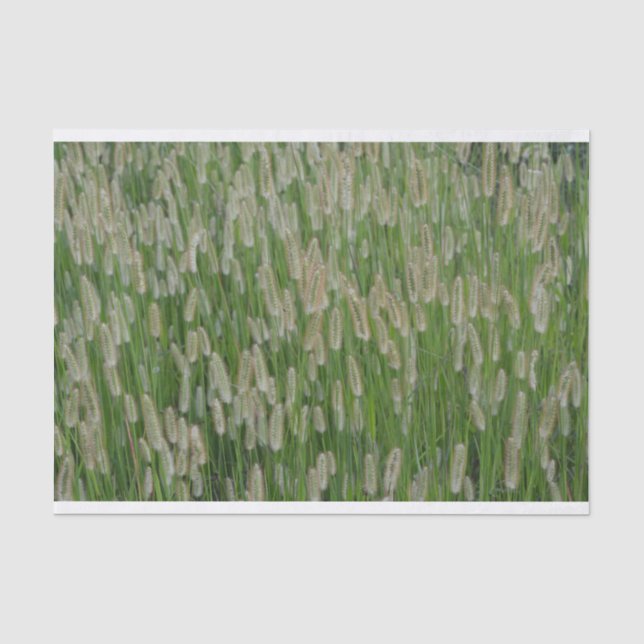 Tall Green Grasses Seeds Tissue Paper (Front)