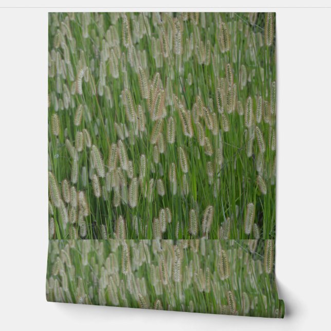 Tall Green Grasses Seeds Wallpaper (Unrolling)