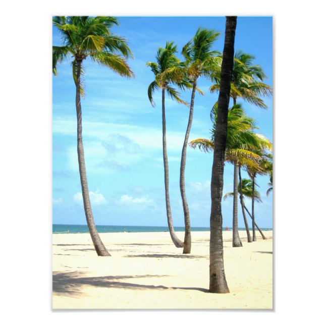 Tall Palm Trees on Beach Photo Print (Front)