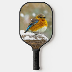 tall pickleball paddle