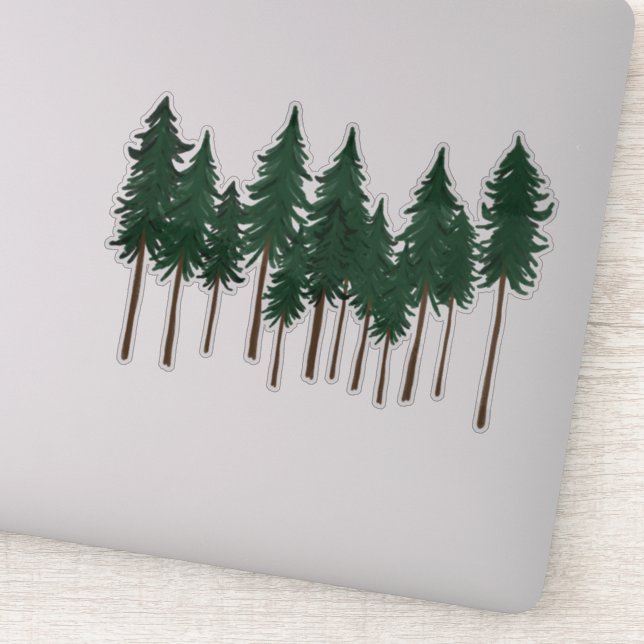 Tall Pine Trees Forest (Detail)