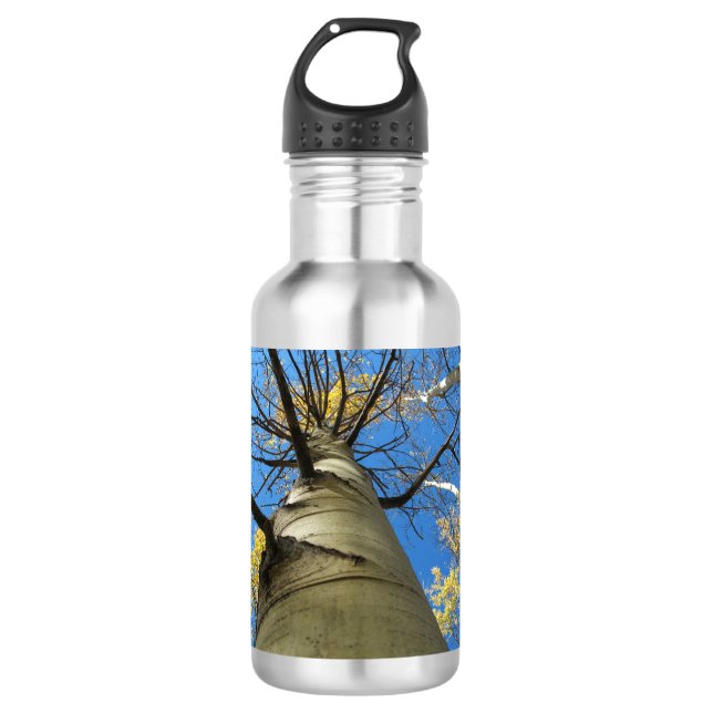 Tall Quaking Aspen Tree 532 Ml Water Bottle (Front)
