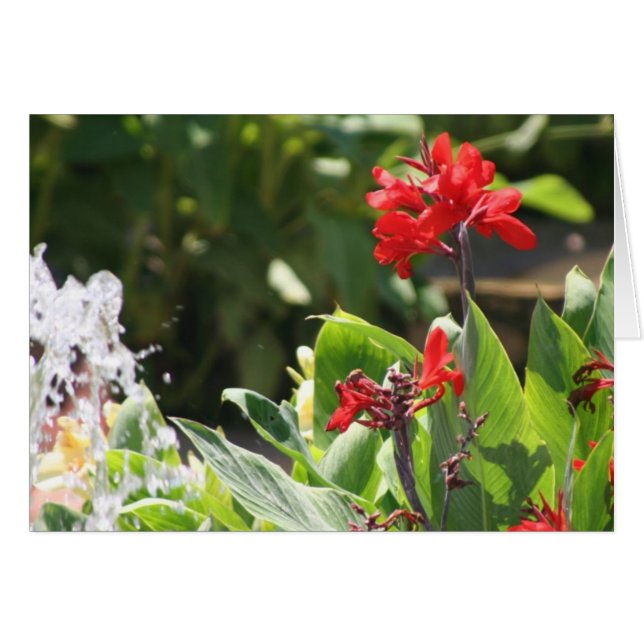 Tall Red Flower (Front Horizontal)