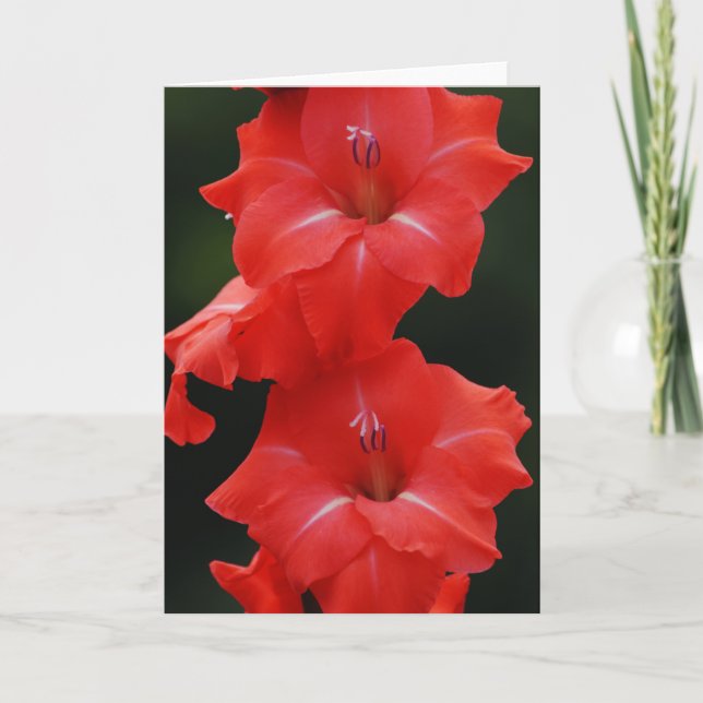 Tall Red Flowers Art Note Card (Front)