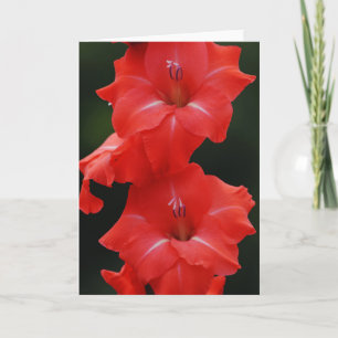 Tall Red Flowers Art Note Card