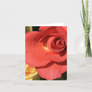 tall red rose card