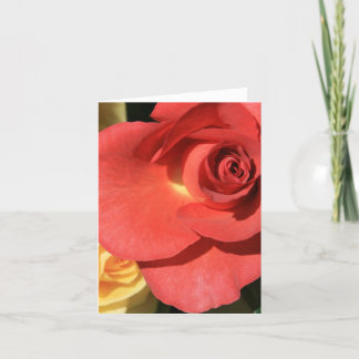 tall red rose card