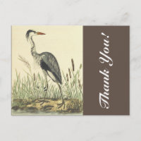 Tall Standing Bird Near Cattails, "Thank You!"