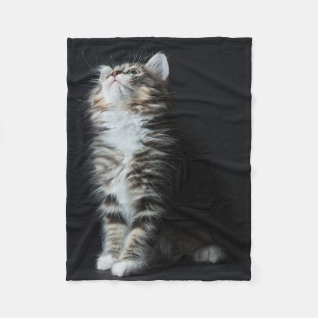 Tall Tabby Fleece Blanket (Front)