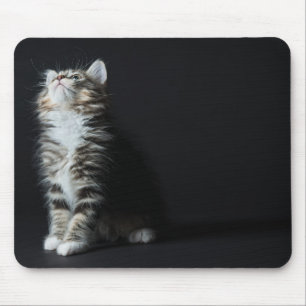 Tall Tabby Mouse Mat