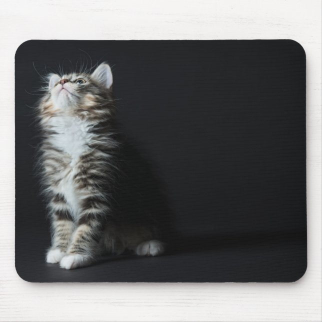 Tall Tabby Mouse Mat (Front)