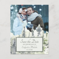 Tall Timber Watercolor Trees Photo Save the Date