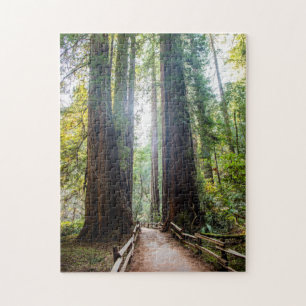 Tall Trees Jigsaw Puzzle
