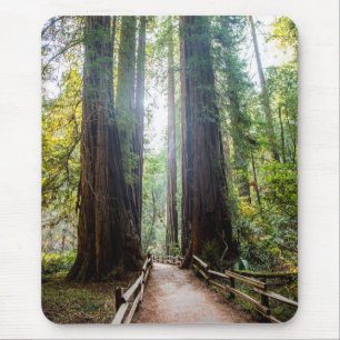 Tall Trees Mouse Mat