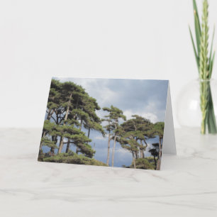 Tall trees with blue sky blank card