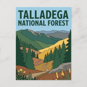 Talladega National Forest Alabama Postcard