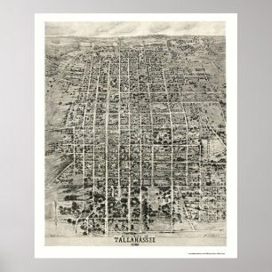 Tallahassee, FL Panoramic Map - 1926 Poster