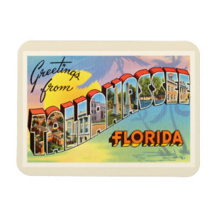 Tallahassee Florida FL Old Vintage Travel Souvenir Magnet