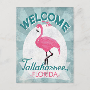 Tallahassee Florida Pink Flamingo Retro Postcard