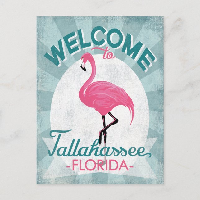 Tallahassee Florida Pink Flamingo Retro Postcard (Front)
