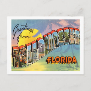 Tallahassee Florida Postcard