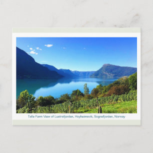 Talle Farm View of Lustrafjorden  Postcard