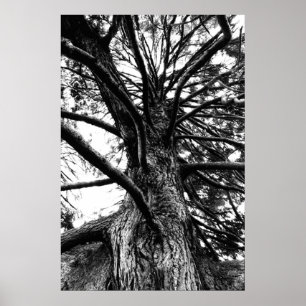 Taller Than You Think Poster