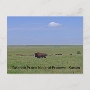 Tallgrass Prairie National Preserve - Kansas Postcard