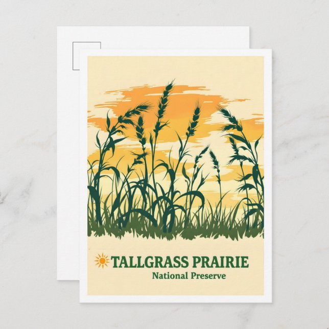 Tallgrass Prairie National Preserve Kansas Travel Postcard (Front/Back)