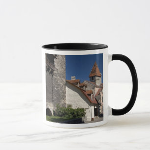 Tallin, Estonia. Tallin is somewhat of an Mug