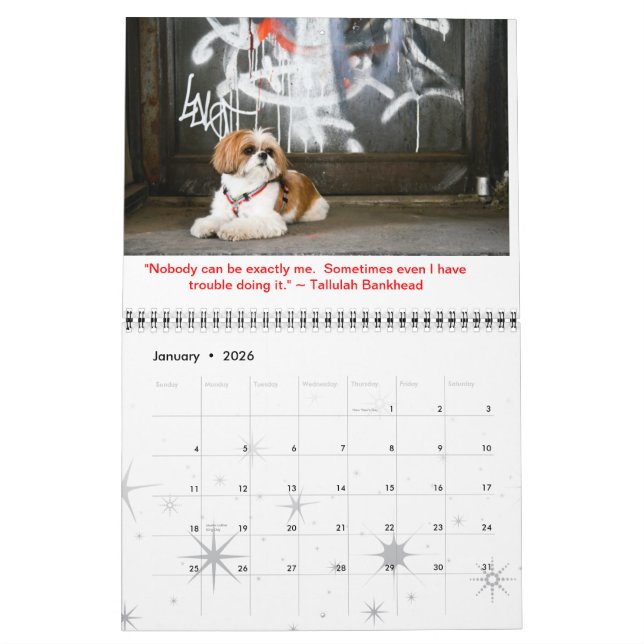 Tallulah Bean Calendar Cute Shih Tzu (Jan 2026)